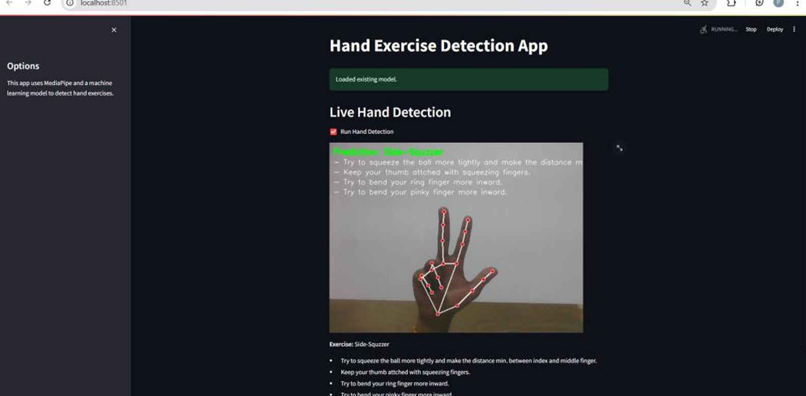 Hand exercise detection website preview image